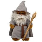 Online Exclusive Gandalf Costume