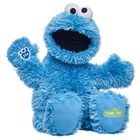 Sesame Street Cookie Monster Plush