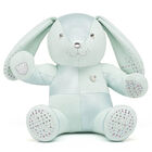 Mint Bunny Build-A-Bear Collectible Featuring Swarovski® crystals