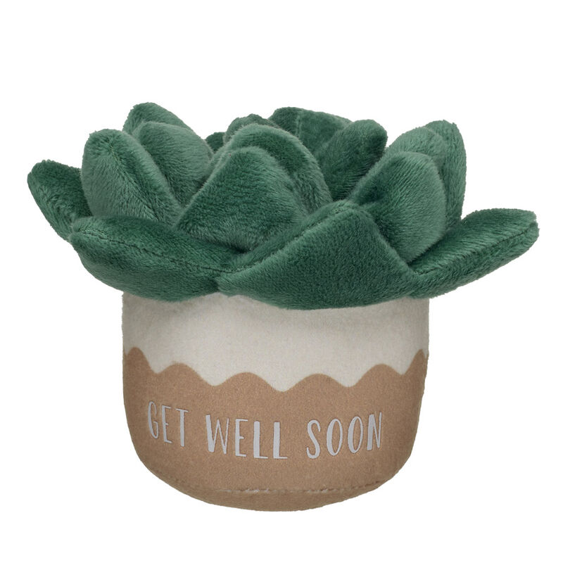 Get Well Soon Succulent Wristie