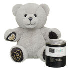 Celebration Teddy Bear with Swig Life Stainless Steel Insulated Lowball