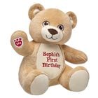 Personalized Embroidered Velvet Hugs Teddy Bear