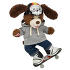 Playful Pup Teddy Skateboarder Gift Set