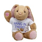 Pawlette™ Bunny Plush "Hang In There" Gift Set