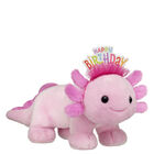 Pink Axolotl Birthday Gift Set