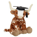 Longhorn Stuffed Animal Graduation Gift Set