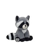 Raccoon Plush - Shop Build-A-Bear® Buddies Online