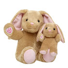 Pawlette™ Bunny Plush & Mini Beans Gift Set