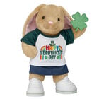 Pawlette™ Bunny Plush St. Patrick's Day Gift Set 
