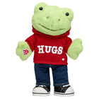 Spring Green Frog Stuffed Animal Hugs Gift Set