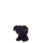 Promise Pups Mini - Black Lab