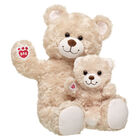 Happy Hugs Teddy Bear & Mini Beans Gift Set