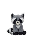 Build-A-Bear Buddies™ Mini Raccoon Stuffed Animal